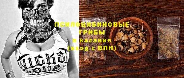 дмт Алзамай