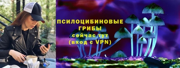 дмт Алзамай