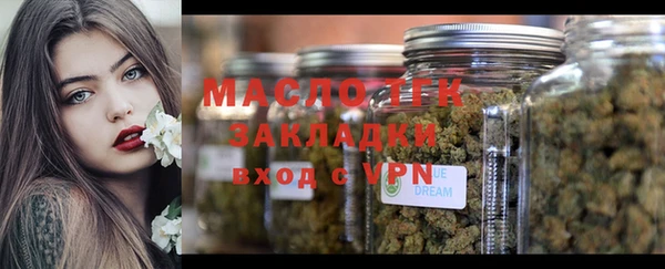 дмт Алзамай