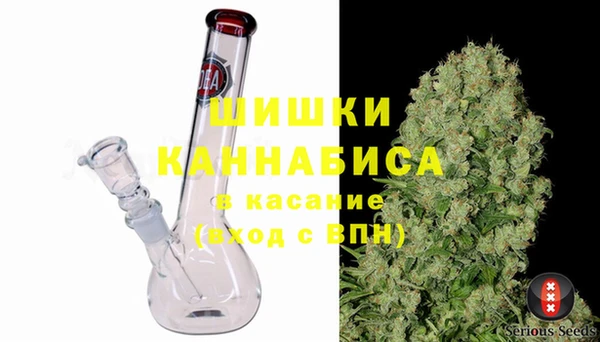 дмт Алзамай